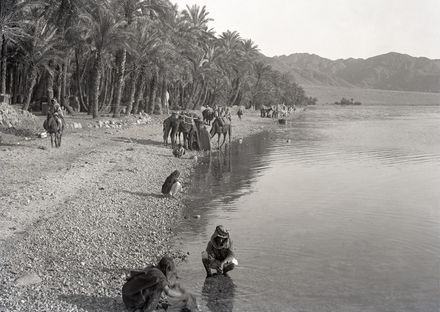 Image: 13a Akaba