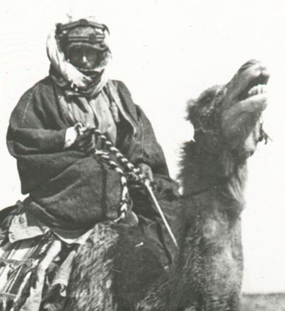 Image: 5a TEL
