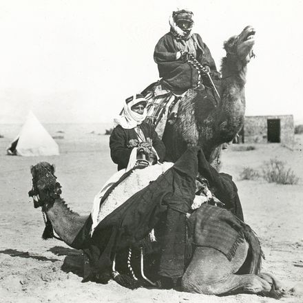 Image: 5b TEL