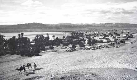 Image: 15 Akaba